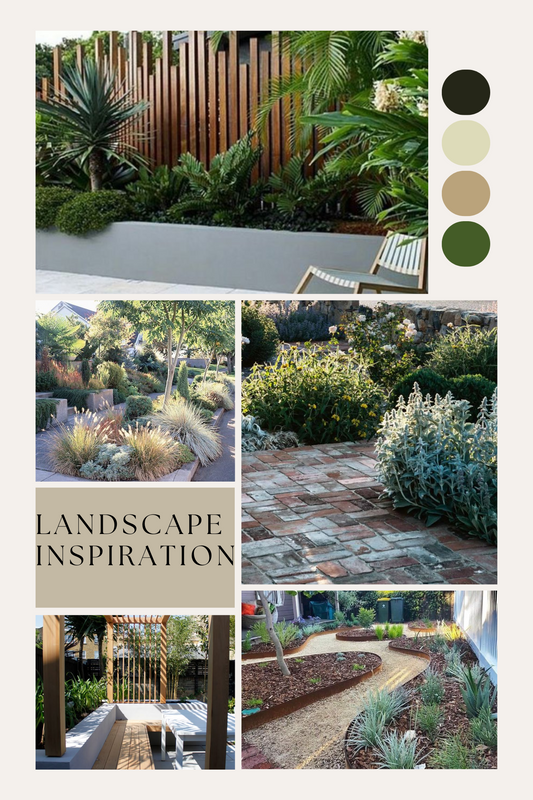 The Importance of Greenery in Your Home: Why Every Space Needs a Touch of Nature